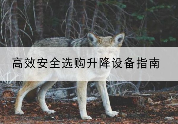 南沙升降货梯厂家推荐-*安全选购升降设备指南