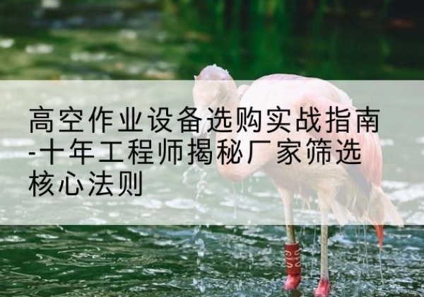 南沙剪叉式升降机厂家-高空作业设备选购实战指南-十年工程师揭秘厂家筛选核心法则
